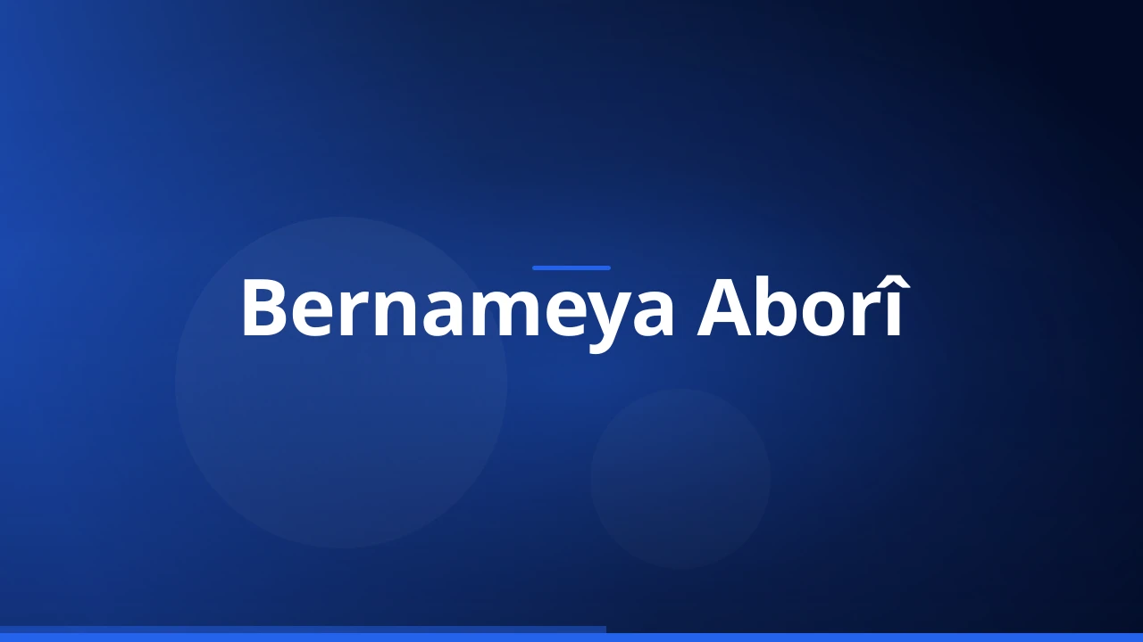 Bernameya Aborî